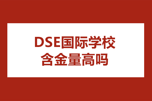 dse國際學(xué)校含金量高嗎-dse國際學(xué)校含金量怎么樣