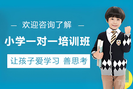 贵阳小学一对一培训班