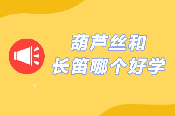 南京葫芦丝和长笛哪个好学-哪个更好