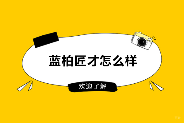 合肥蓝柏匠才怎么样
