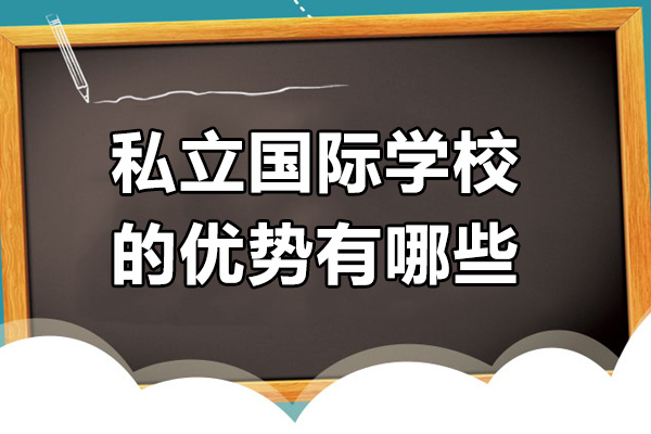私立国际学校的优势有哪些-私立国际学校的优势是什么
