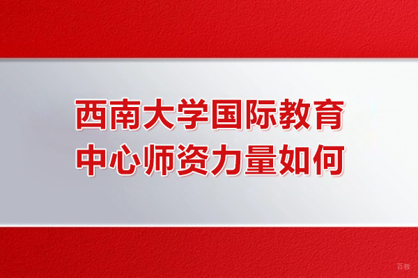 沈阳国际本科-西南大学国际教育中心师资力量如何