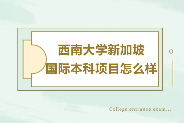 沈阳国际本科-西南大学新加坡国际本科项目怎么样