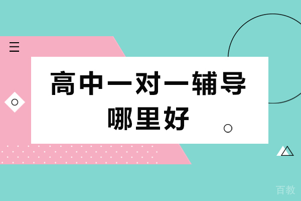 高中一对一辅导哪里好-哪个好