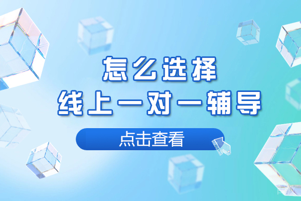 怎么选择线上一对一辅导-网上一对一家教如何选