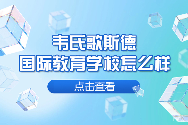 厦门韦氏歌斯德国际教育学校教学质量解析