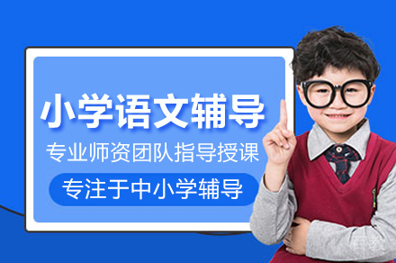 小学语文一对一培训班