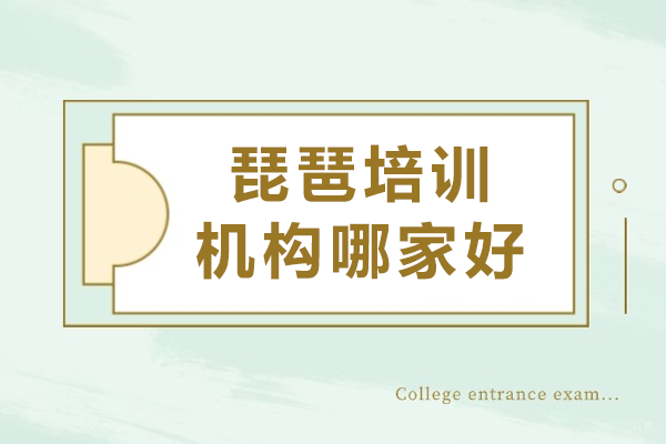 上海琵琶培训机构哪家好