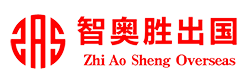 上海智奥胜出国