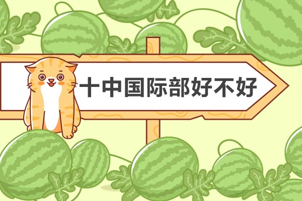 苏州十中国际部好不好-怎么样