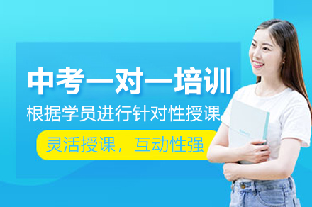 北京智博精华教育中考一对一培训：定制冲刺方案，助力高效备考全解析