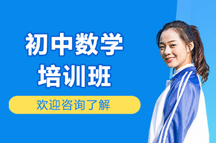 北京初中数学培训班