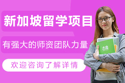 哈尔滨因斯派新加坡留学全规划：从适配到融入的多阶段成长方案
