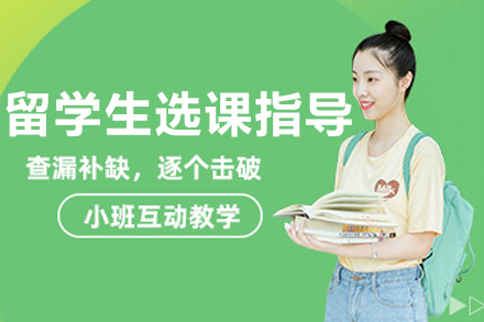 哈尔滨留学生选课指导班：从课程认知到学业规划的全链路指导方案