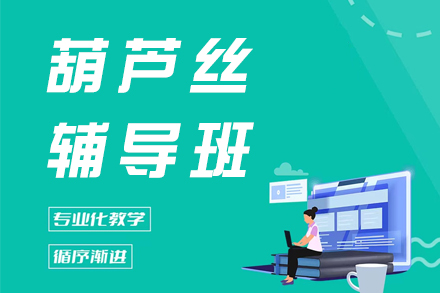 苏州才艺培训-苏州葫芦丝辅导班