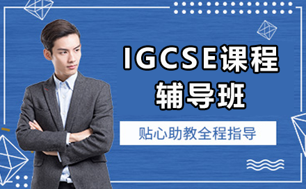 上海IGCSE课程辅导全解析：从基础巩固到A*冲刺的定制化方案