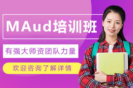 沈阳MAud培训课程深度解析：构建审计人才成长的全链路培养体系