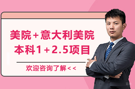 天津美院+意大利美院本科1+2.5项目