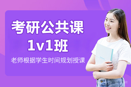 北京考研公共课1v1班