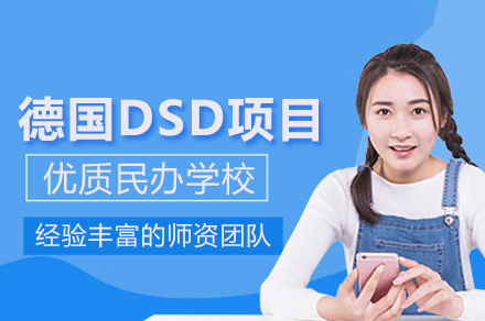 北京新亚学校_德国DSD项目班