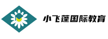 小飞蓬国际教育