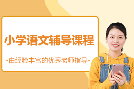 北京小学语文辅导课程