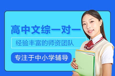 合肥高中文综一对一培训：定制化提分方案助你突破文综瓶颈