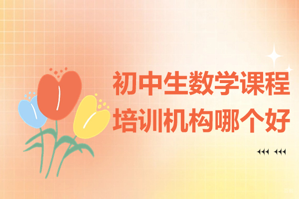 北京初中辅导-北京初中生数学课程培训机构哪个好-智博精华教育