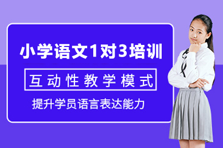 遵义金东方教育小学语文1对3培训：全学段覆盖的语文能力进阶方案