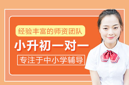 合肥小升初备考新选择：锐思教育一对一培训班全解析