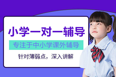 合肥锐思教育小学一对一辅导班：分龄定制+互动教学的全科成长方案
