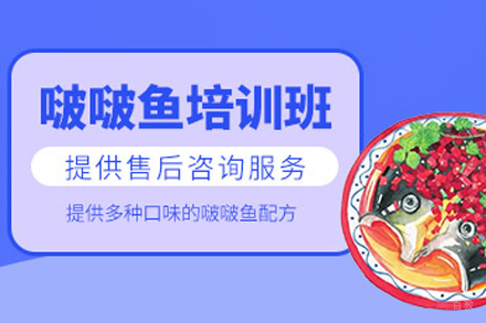 成都啵啵鱼培训