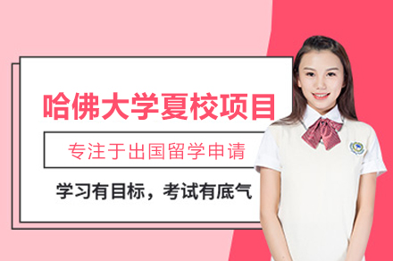 哈佛夏校项目全解析：中学生暑期学术与成长的多元体验