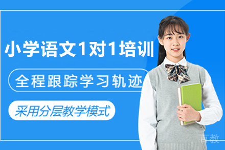 遵义小学语文1对1培训班