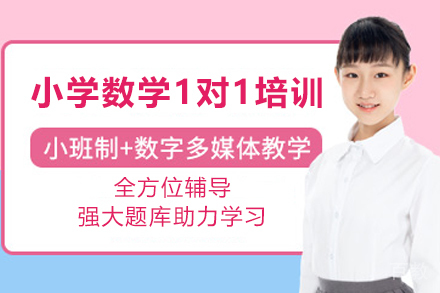 遵义小学数学高阶思维1对1培训班