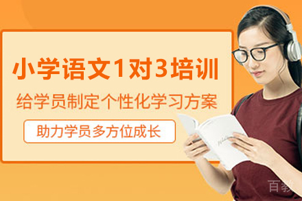 遵义小学语文1对3培训班