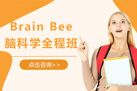 上海犀牛国际Brain Bee脑科学全程班：从兴趣启蒙到竞赛进阶的系统培养方案