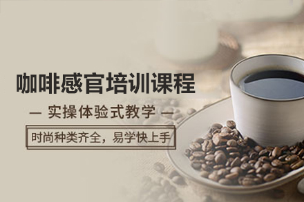 广州咖啡感官培训课程深度解析：从风味感知到专业品鉴的系统成长路径