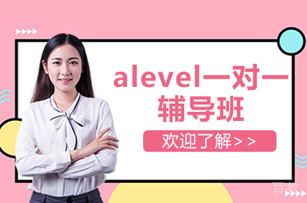 上海alevel一对一辅导班