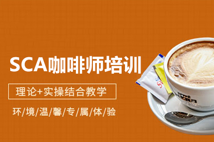 广州SCA咖啡师全阶培训指南：从入门到高阶的系统技能养成路径