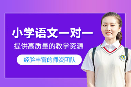 北京小学语文一对一辅导新解：从兴趣到能力的阶梯式培养方案