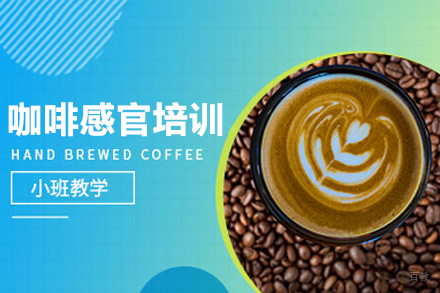 广州MINDFO咖啡培训_广州咖啡感官培训课程