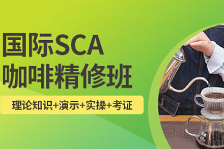 南宁技能培训-南宁SCA咖啡创业班