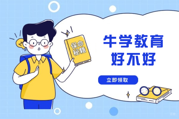 成都牛学教育好不好