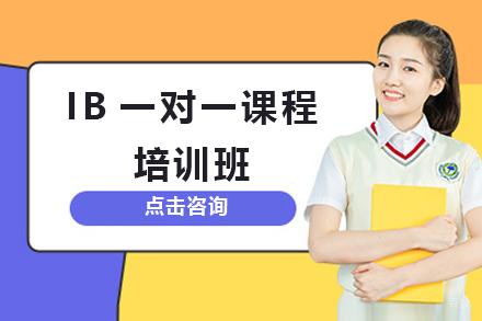 上海IB一对一课程培训班