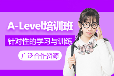 深圳Alevel培训优选：睿格国际教育全维度能力提升方案深度解析