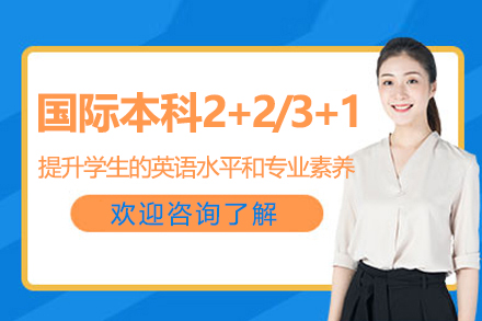中央财经大学金融学院国际本科2+2/3+1项目全解析：从课程体系到申请指南