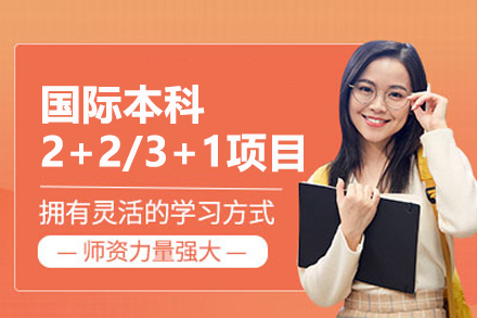 上海财经国际教育学院2+2/3+1国际本科项目：从申请到留学的全流程解析