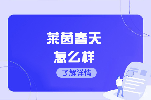 济南德语-济南莱茵春天怎么样