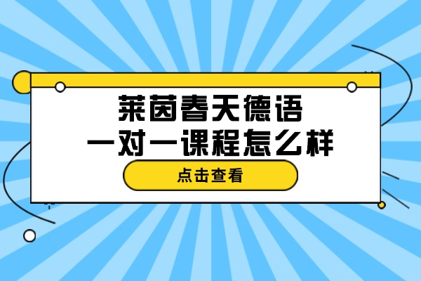 济南德语一对一培训新选择：莱茵春天定制化教学全解析
